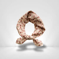 Petit Foulard Coton Femme